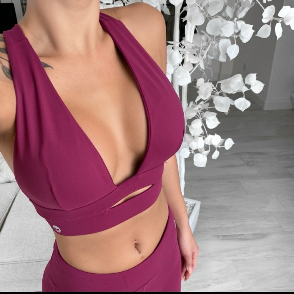 Reposh ekfit sportx bra in berry